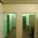 IMG_20250513_160330